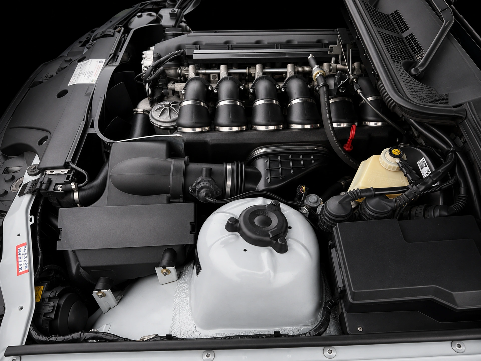Motore BMW S50B32 dettaglio testa VANOS